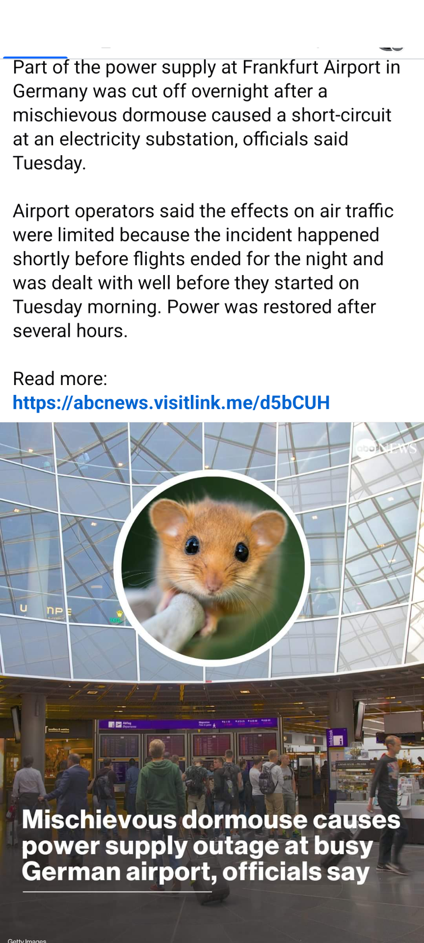 1000022432.png