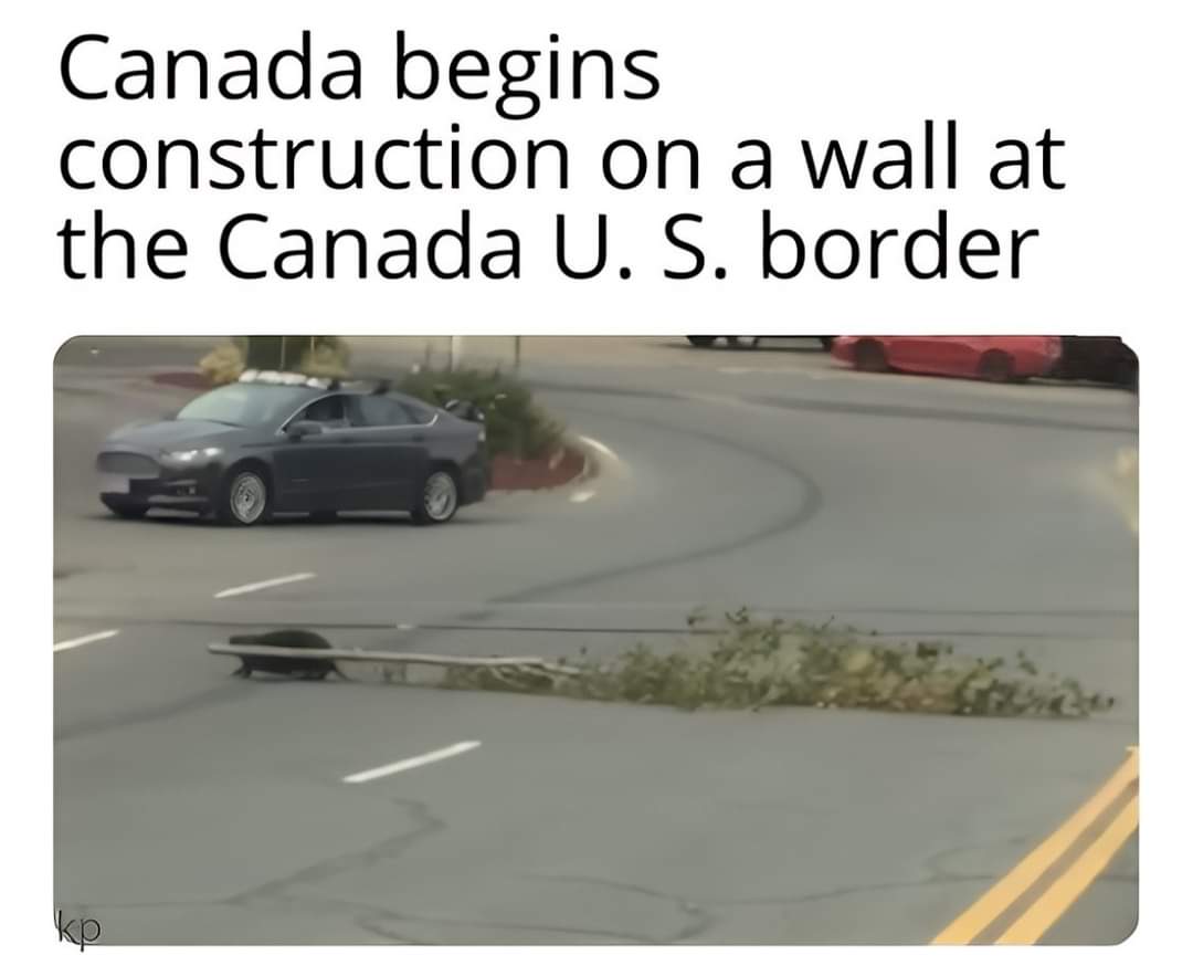1000028730.jpg