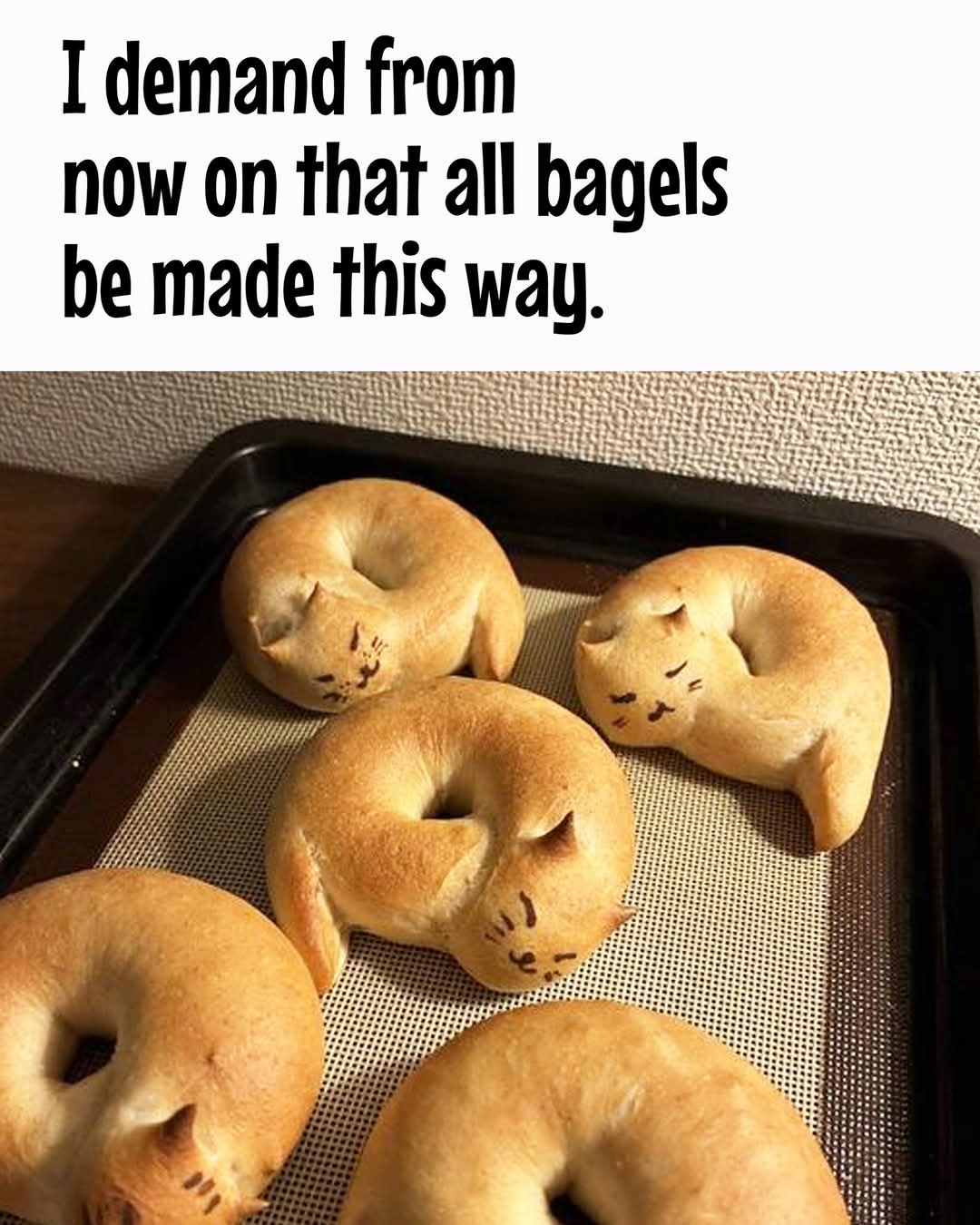 1000032137.jpg