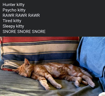 1637622012891.png