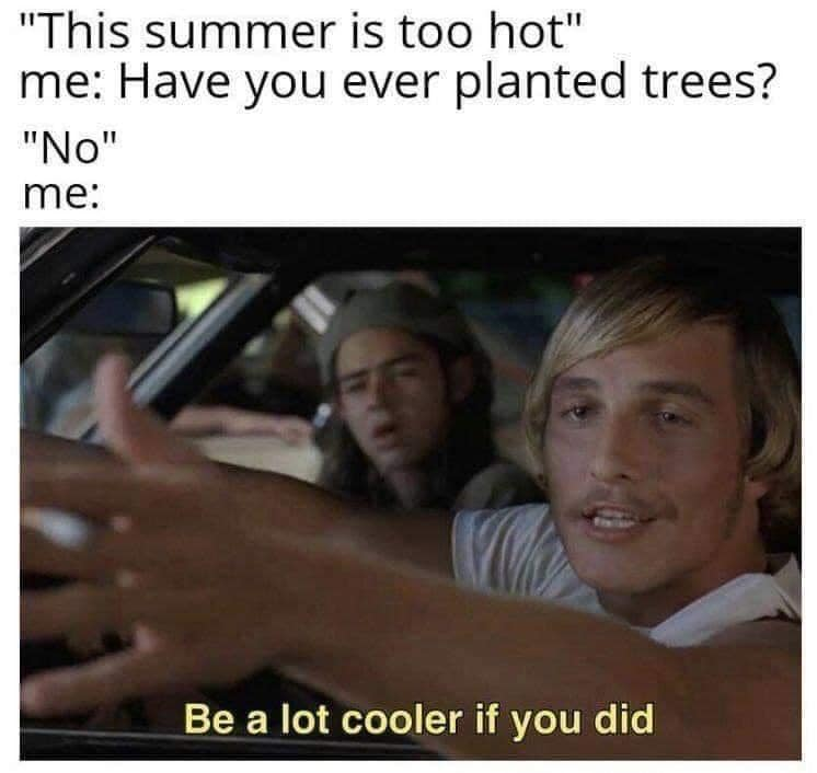 1689117082751.png