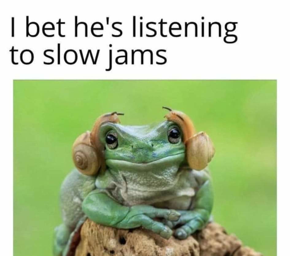 1704249023973.jpeg