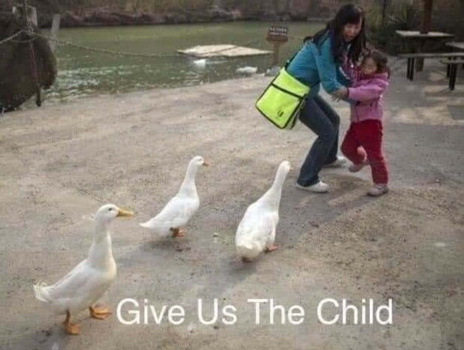 1705380807468.jpeg