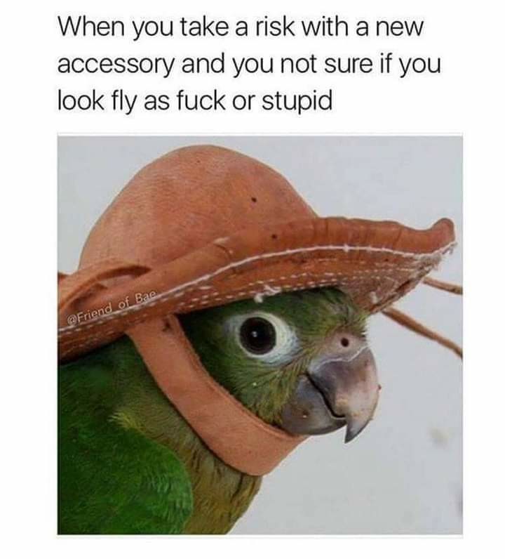 1707544335607.jpeg