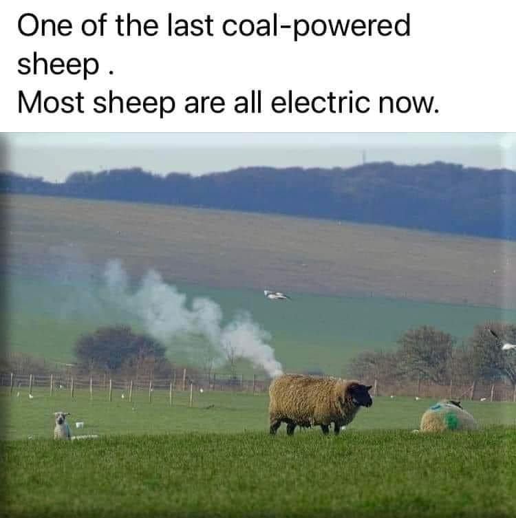 1708319702739.jpeg
