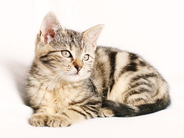 1708636105430.png