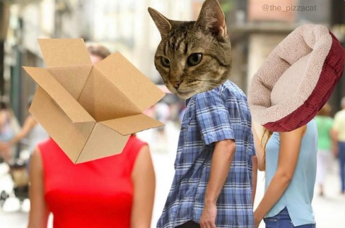 1711560479939.png