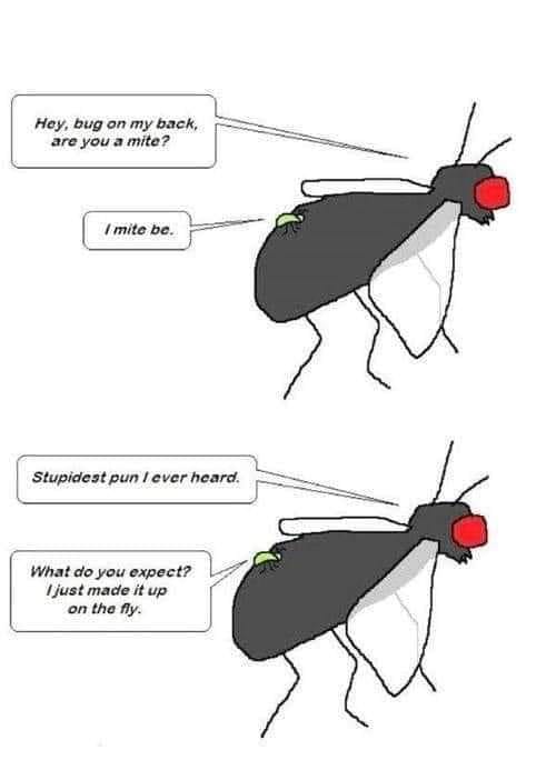 1713649613002.jpeg