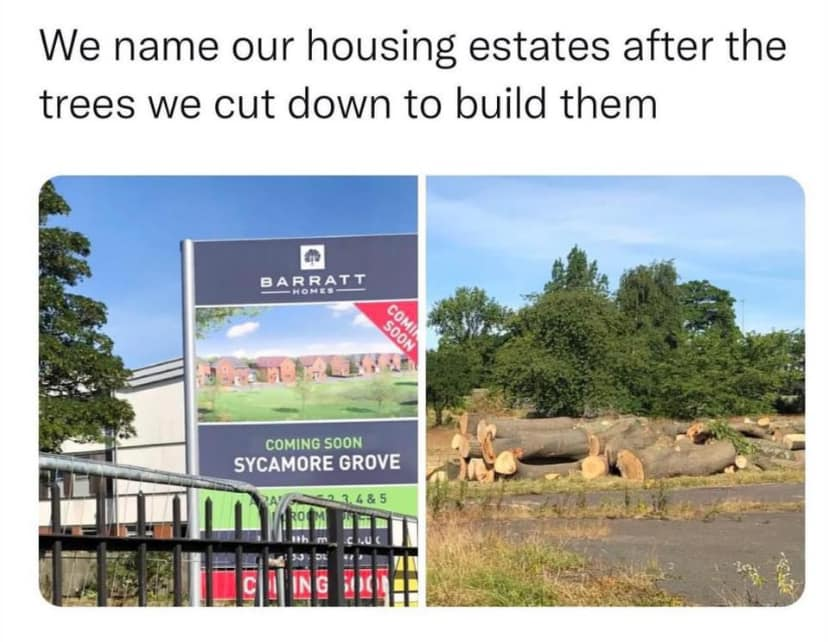 1716841974972.png
