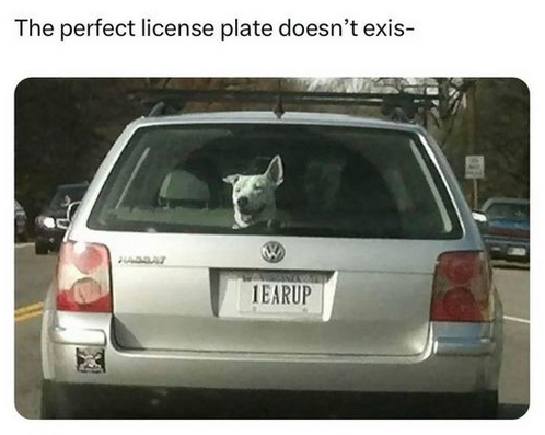 1718028211051.png