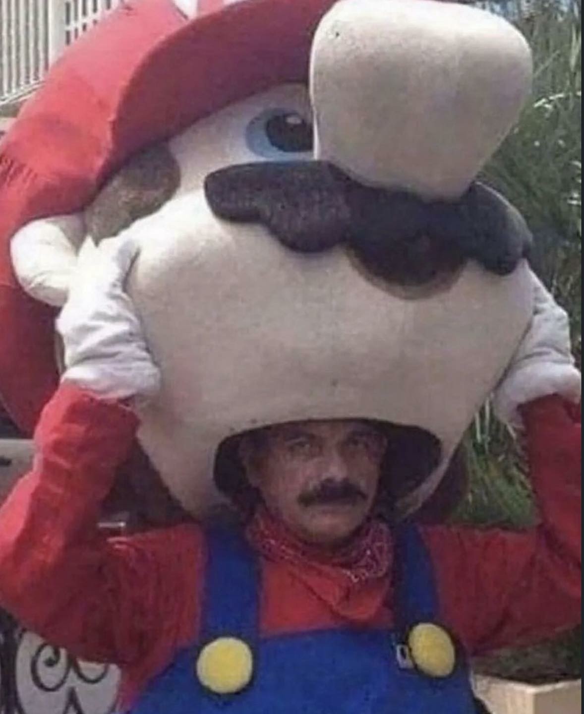 1723396540768.jpeg
