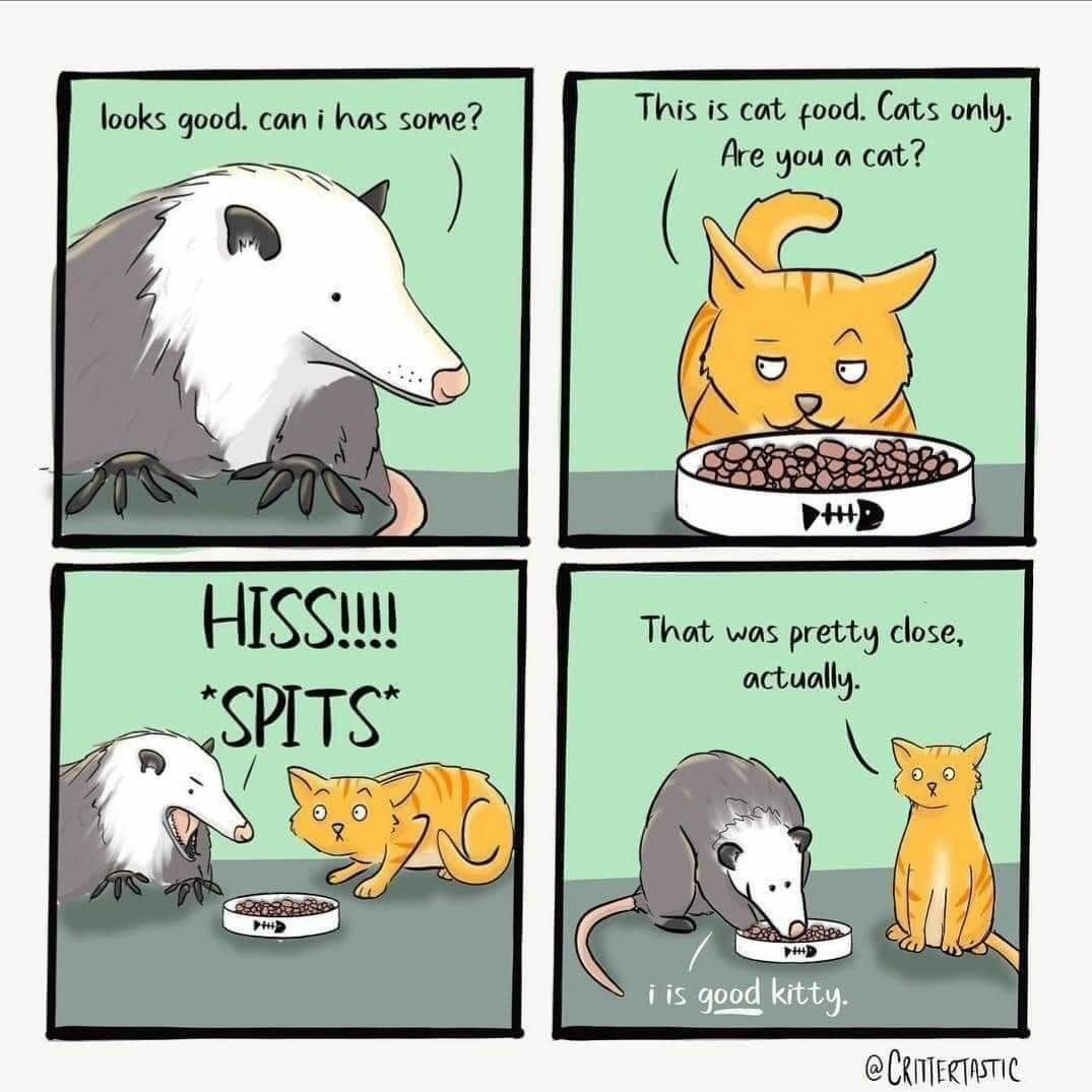 1723864065096.jpeg