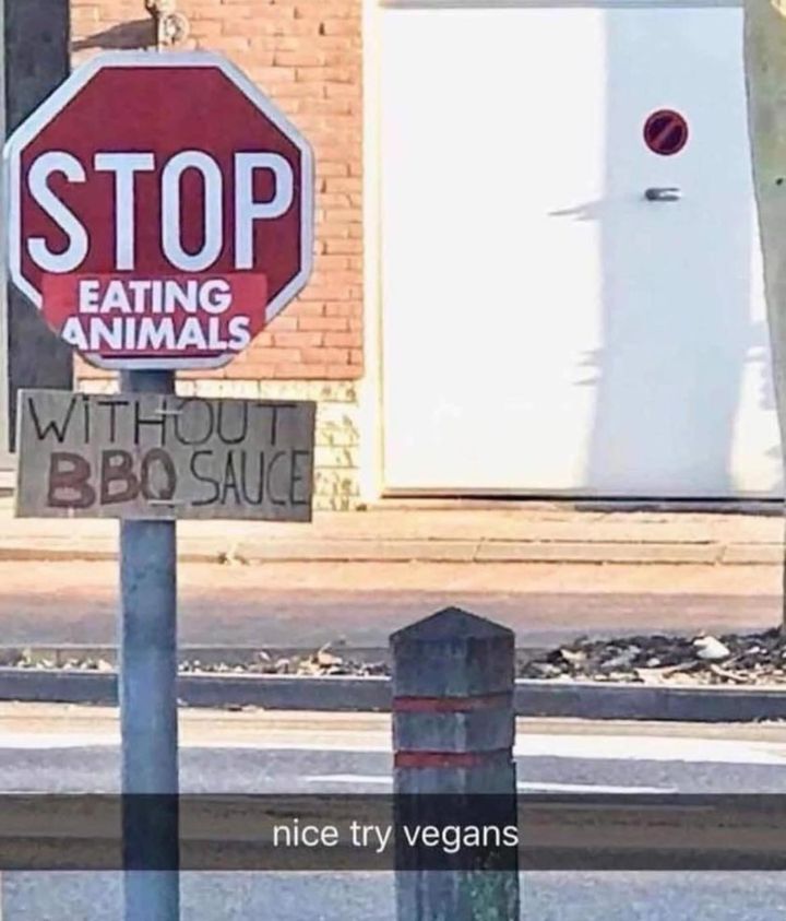 1724182606309.jpeg
