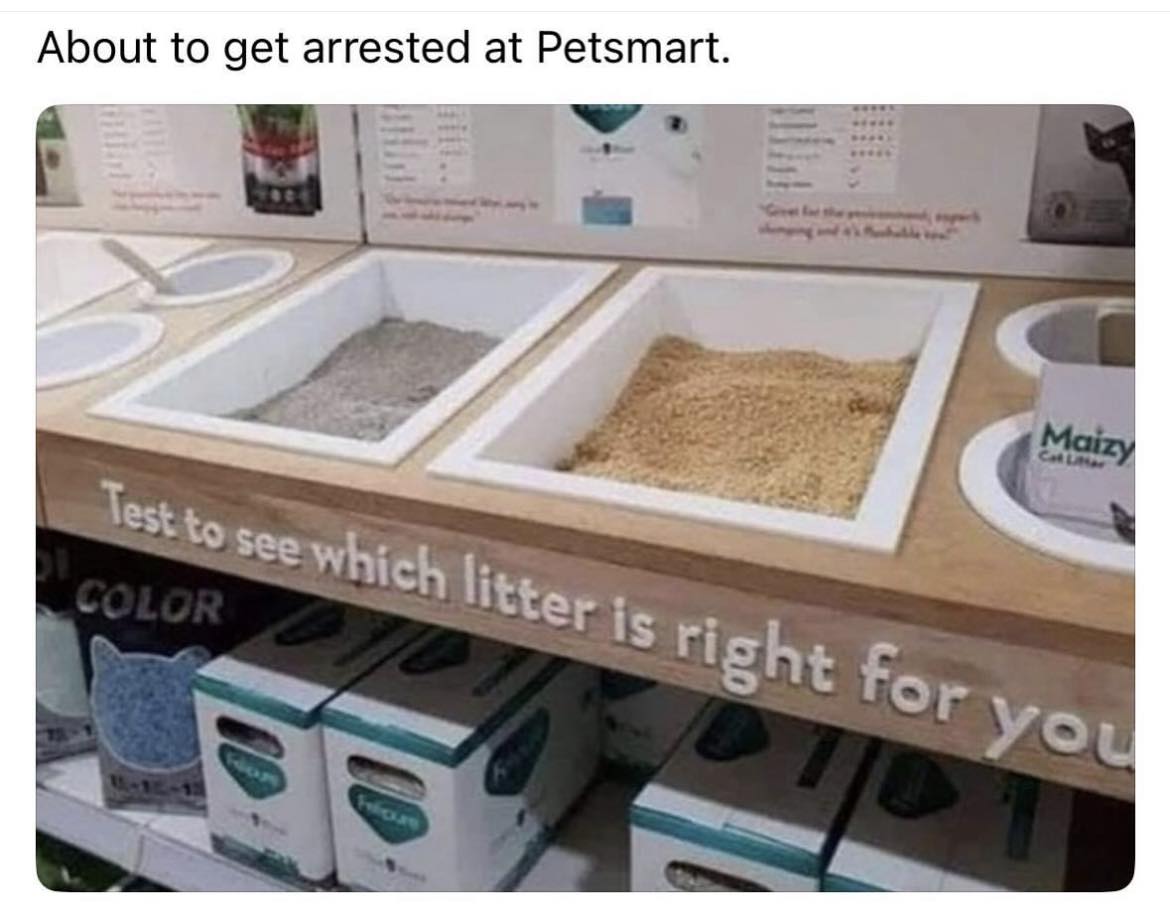1724944829984.jpeg