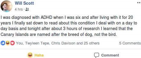 1726763632365.jpeg