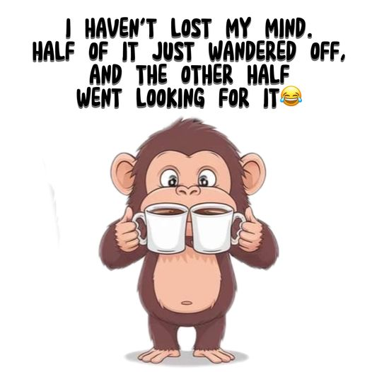 1729101882615.png