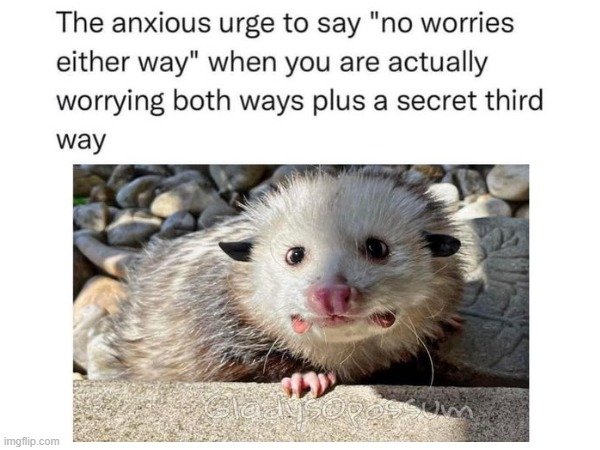 1729826285726.jpeg