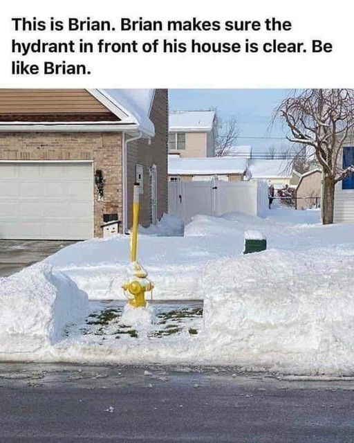 1731415239049.png