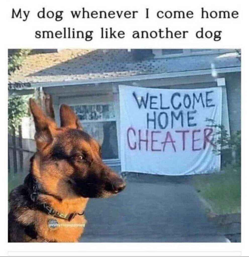 1731460296419.jpeg