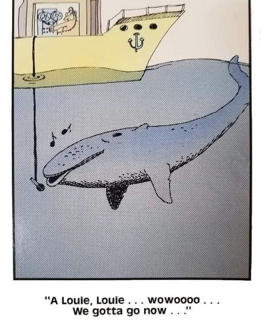 1732026004331.png