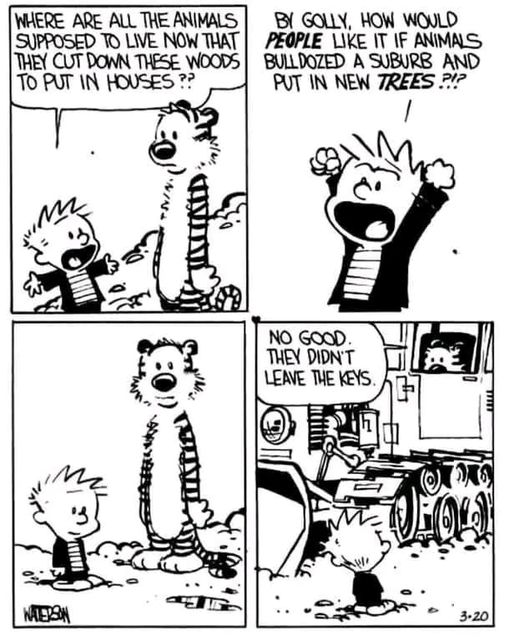 1732633175065.png