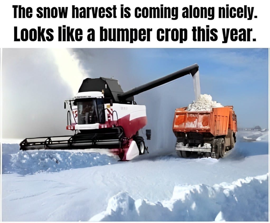 1733403906393.png