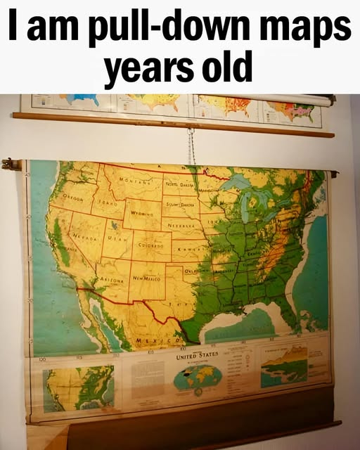 1735488423203.png