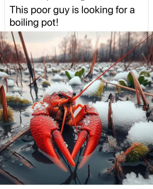 1737398587993.png