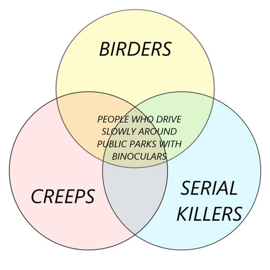 1737544630357.png