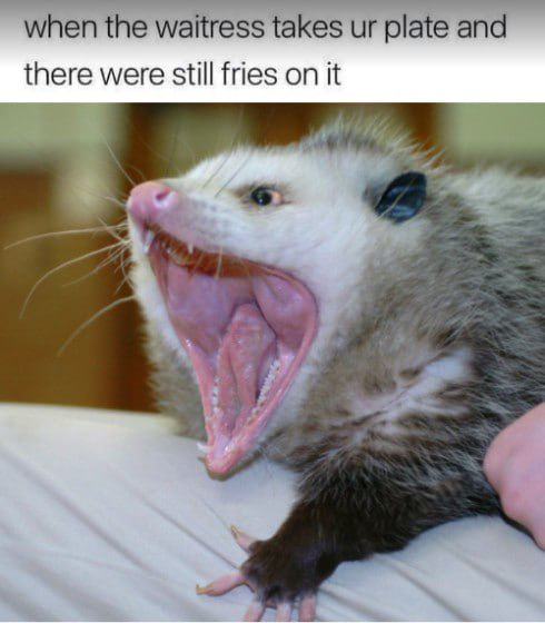 1737655923835.jpeg