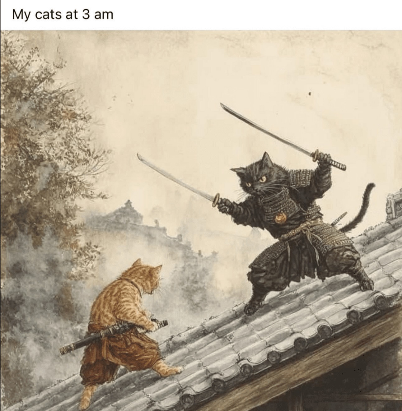 1739227242529.jpeg