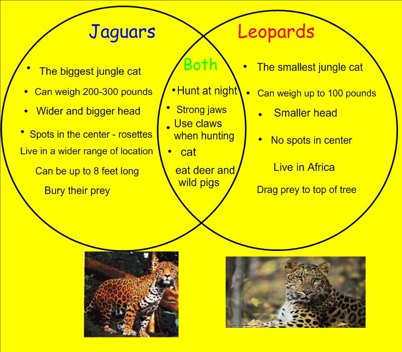 1759932061721.png