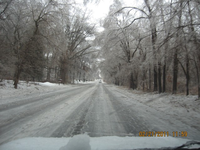 2-21-2011_013.jpg