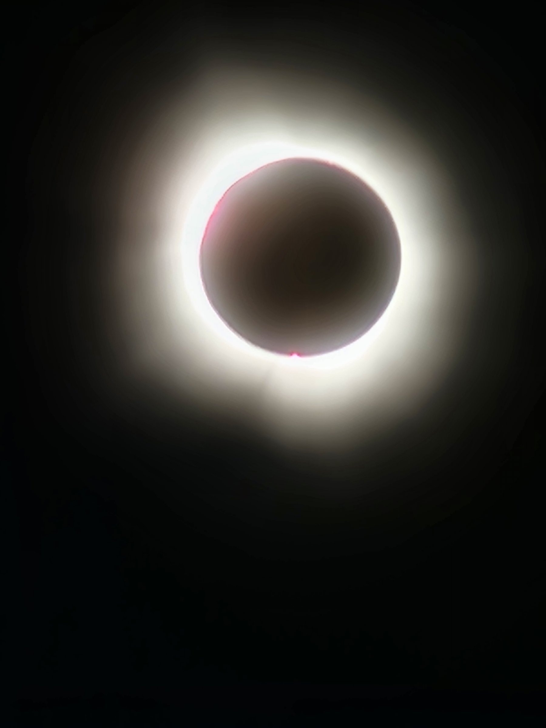 20240408_151646.jpg