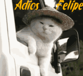 Adios_Felipe.gif