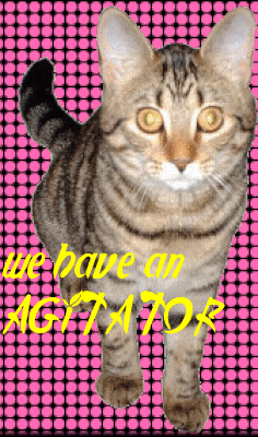 agitator.gif
