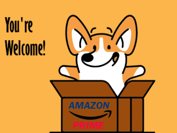amazon_corgi.gif