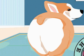 Amazon_Prime_Corgi.gif