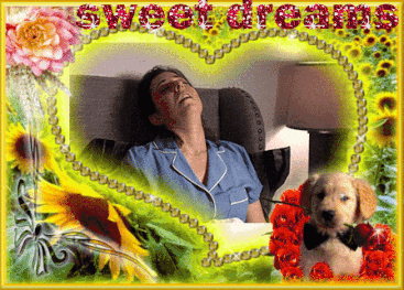 Animated_Sweet_Dreams.gif