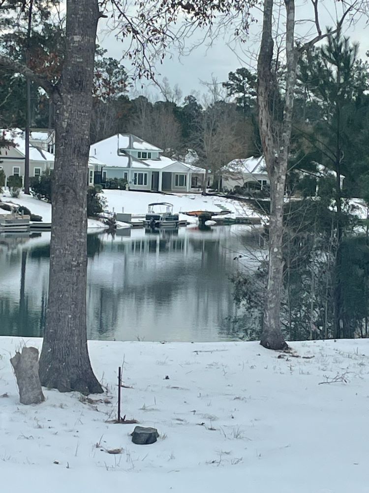 Backyard.jpg