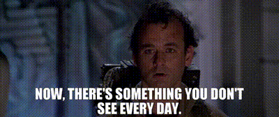 bill murray.gif