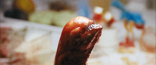 birth.gif
