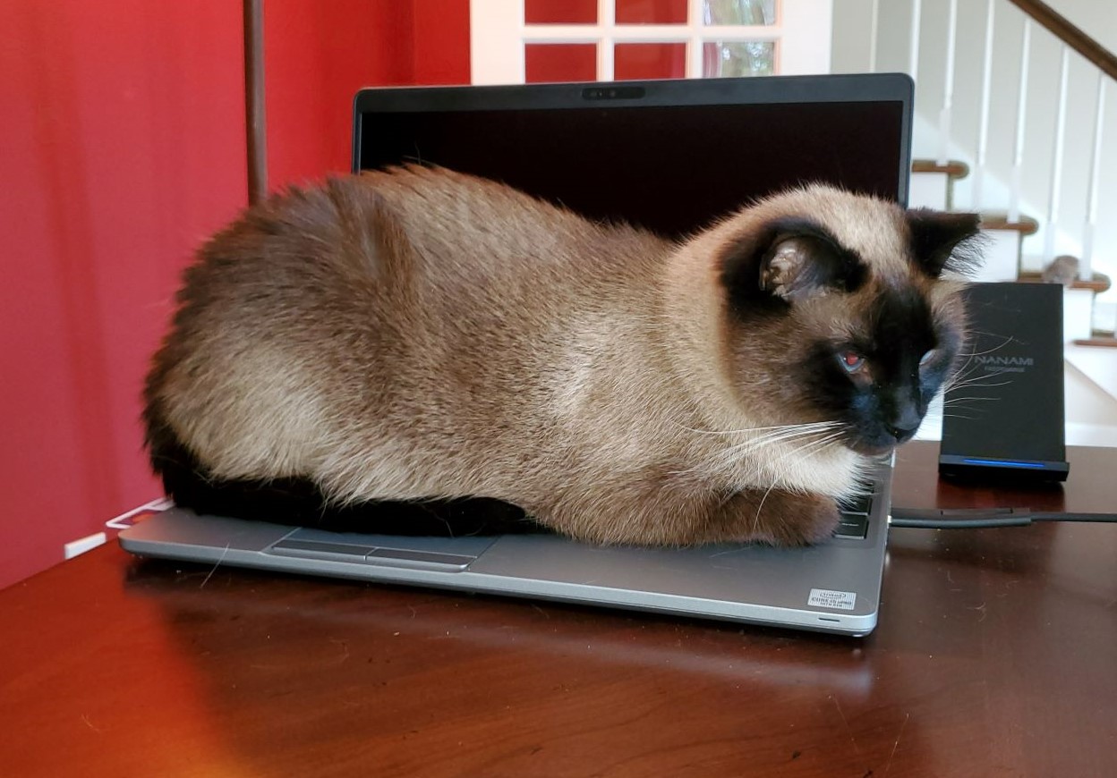 Boyd_Laptop (2).jpg