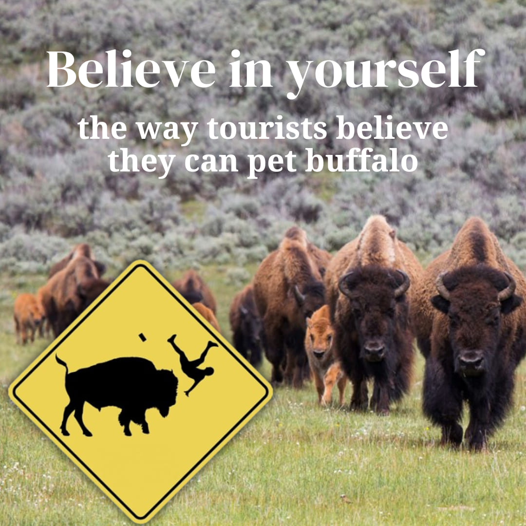 buffalo warning.jpg