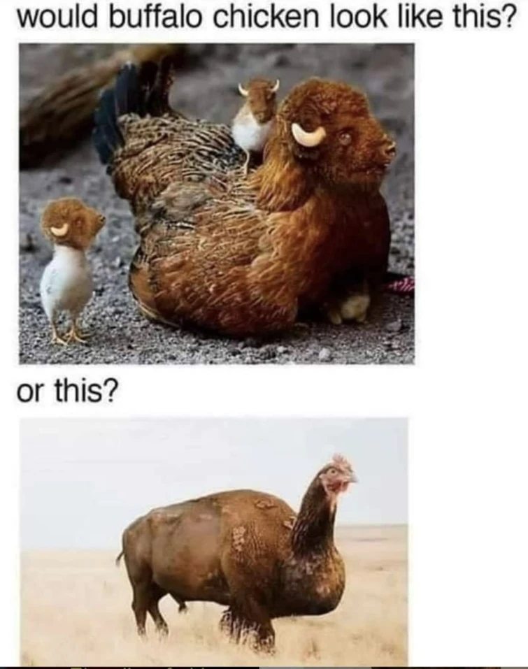 Buffalo_Chicken.jpg