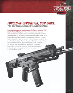 Bushmaster-235x300.jpg
