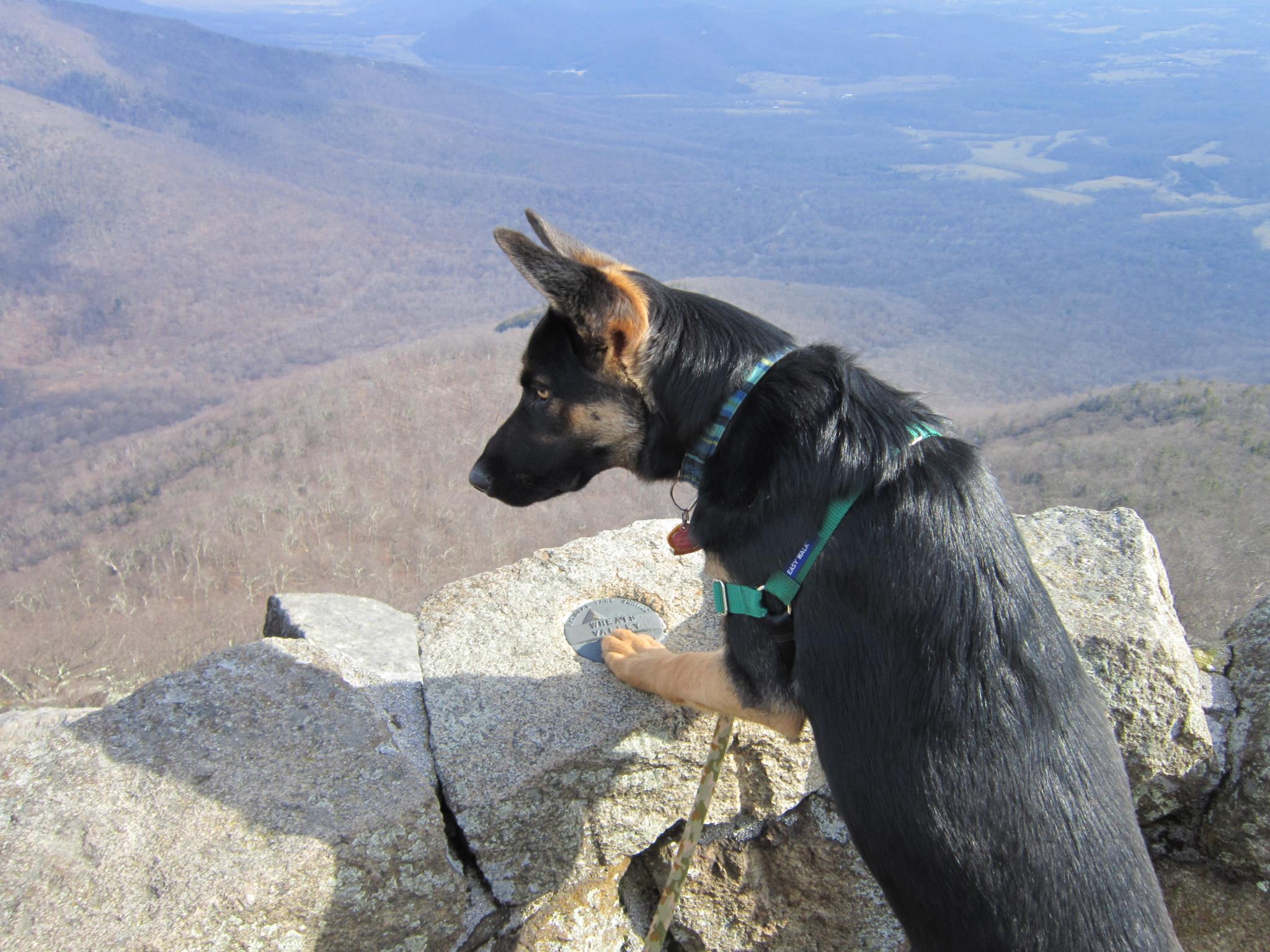 Carson Mountain.jpg