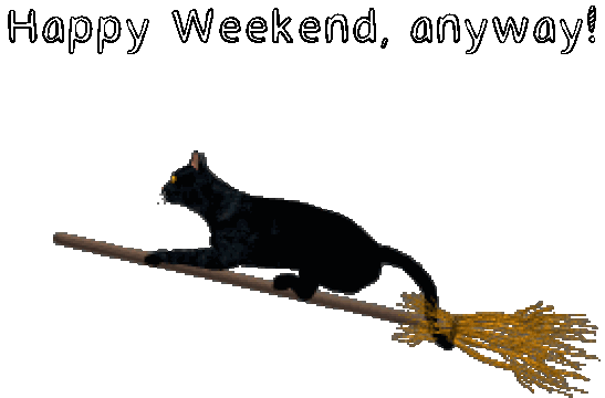 cat-on-broom (2).gif