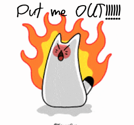 cat-out.gif