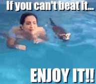 Cat-Swimming.gif